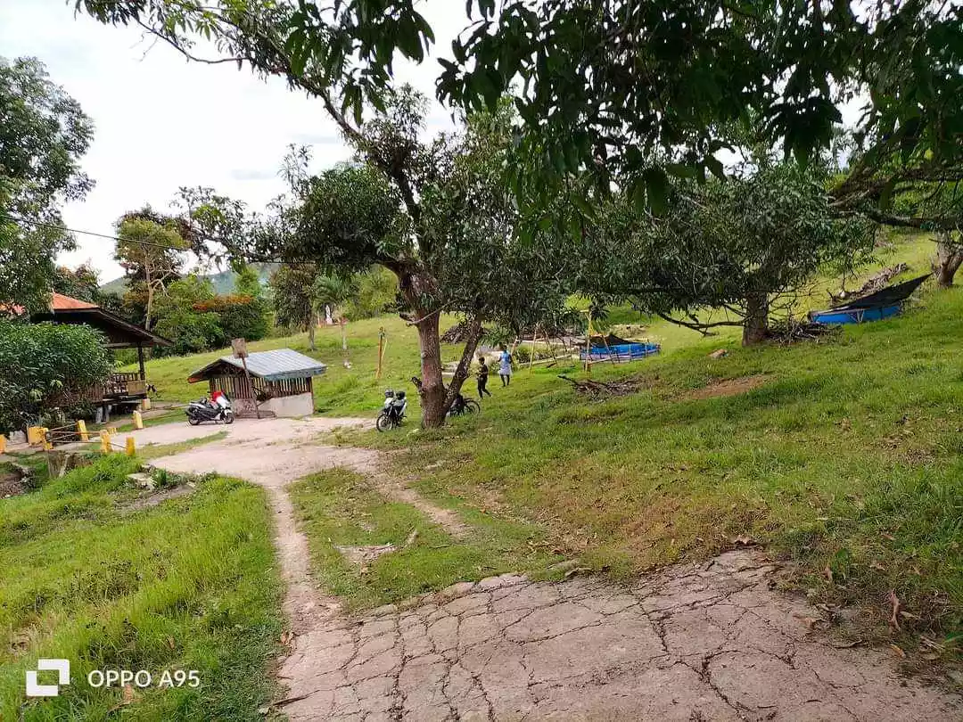 4.2 HECTARES FARM LOT FOR SALE IN CARCAR - photo 4