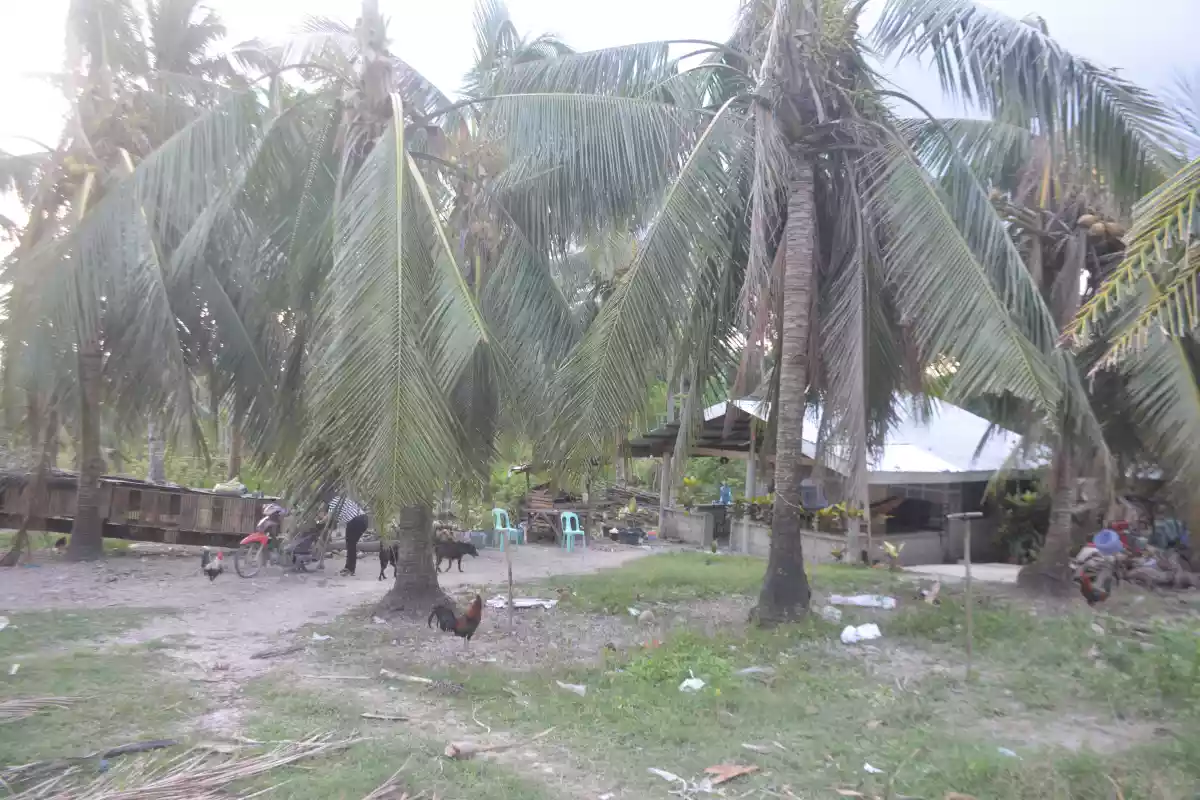 LOT FOR SALE IN CARCAR (LOT 2) - photo 5