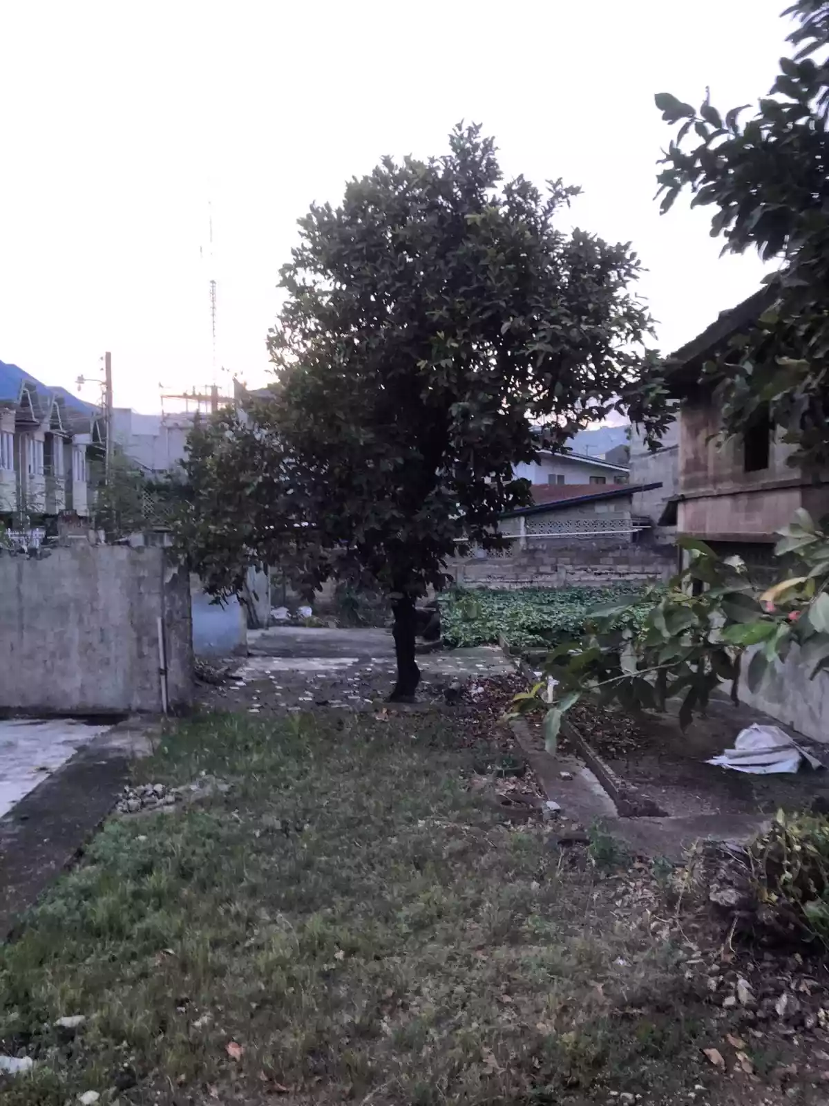 Residential CORNER LOT in Tisa, Cebu City - photo 5
