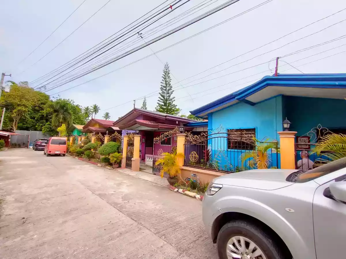 Panabo 433sqm House and Lot