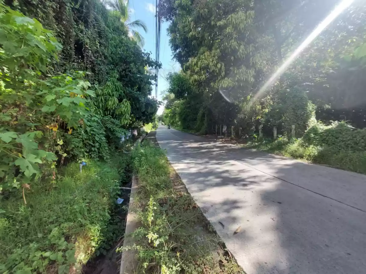 Farm Lot Convertible to Residential — Agricultural Lot in Negros Oriental, Philippines — Photo 4