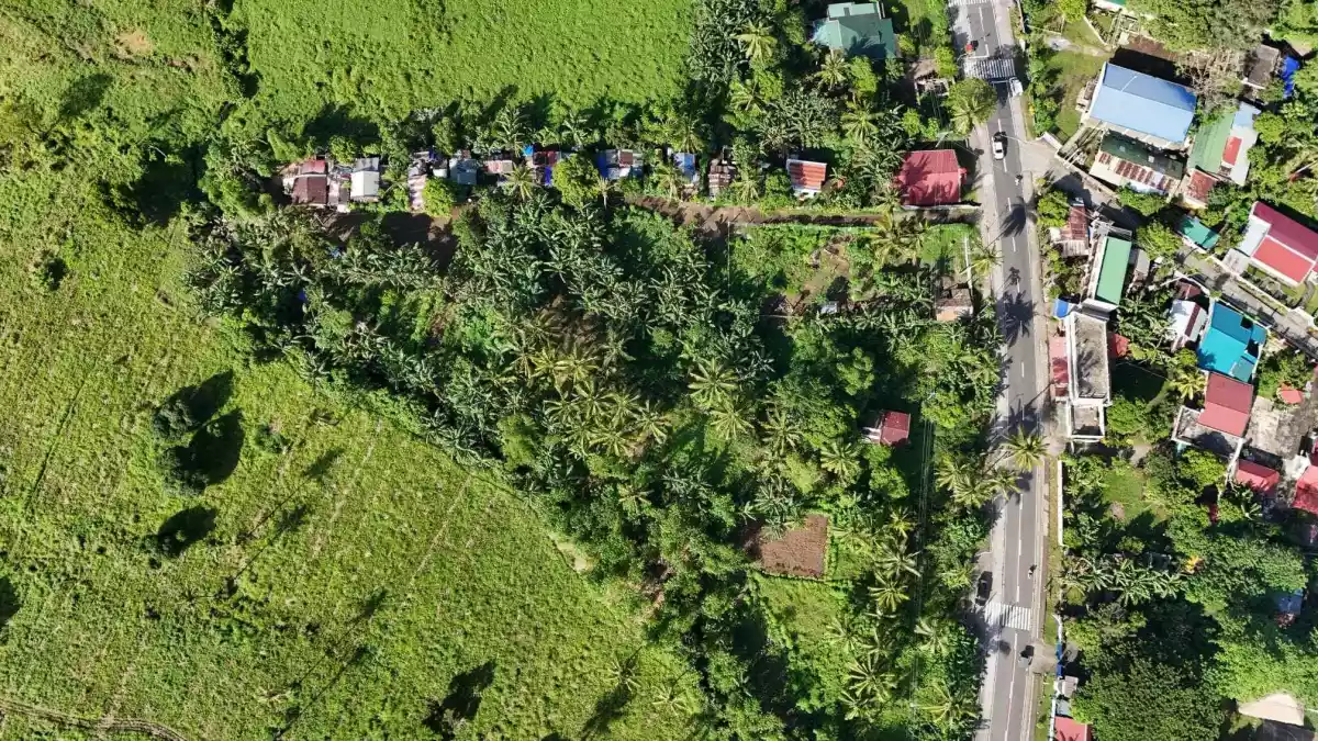 LOT 3-H — Agricultural Lot in Governor Jose T. Fuentebella National Highway, Tigaon, Camarines Sur — Photo 7