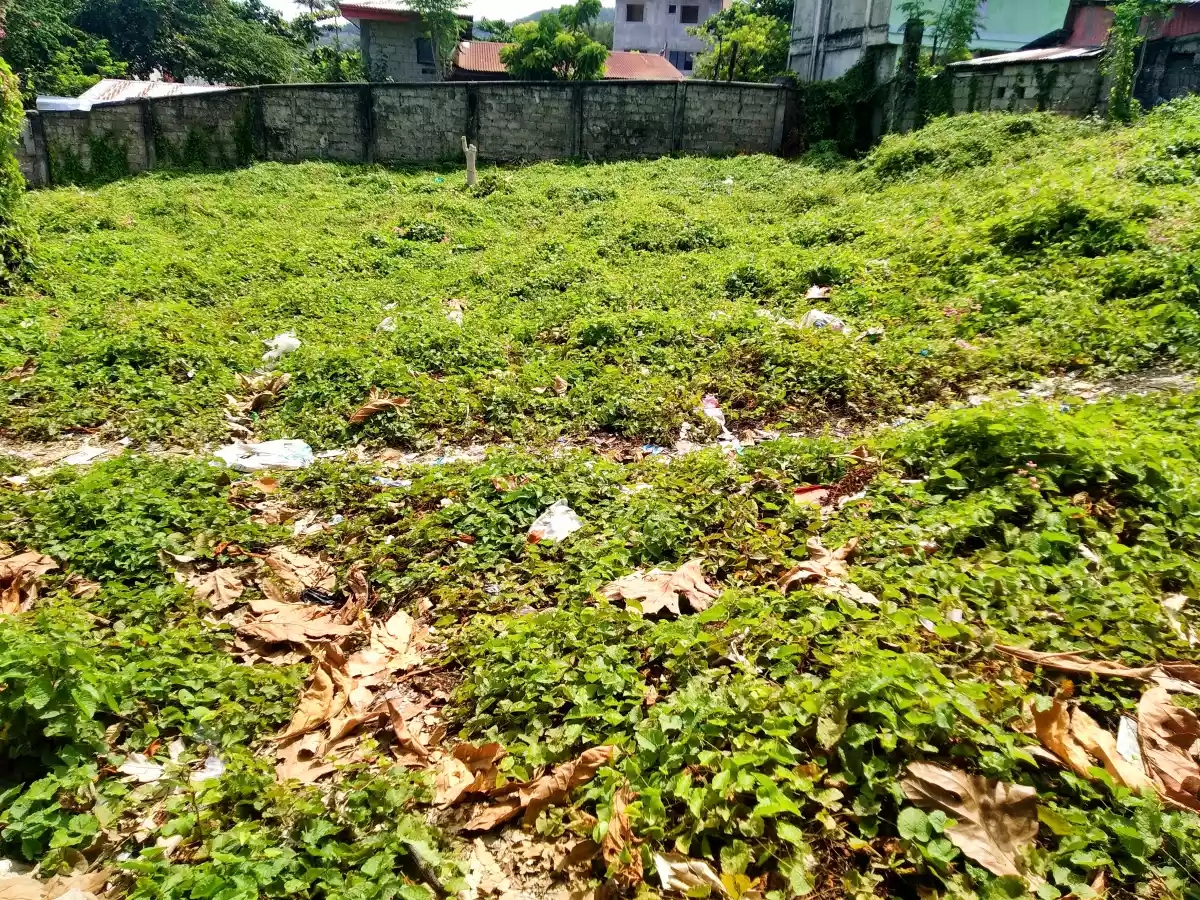 Prime Lot - photo 4