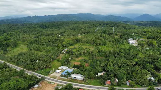 1.2 hectares commercial Lot For Sale in Initao, Misamis Oriental — Commercial Lot in Butuan - Cagayan de Oro - Iligan Road, Initao, Misamis Oriental — Photo 3