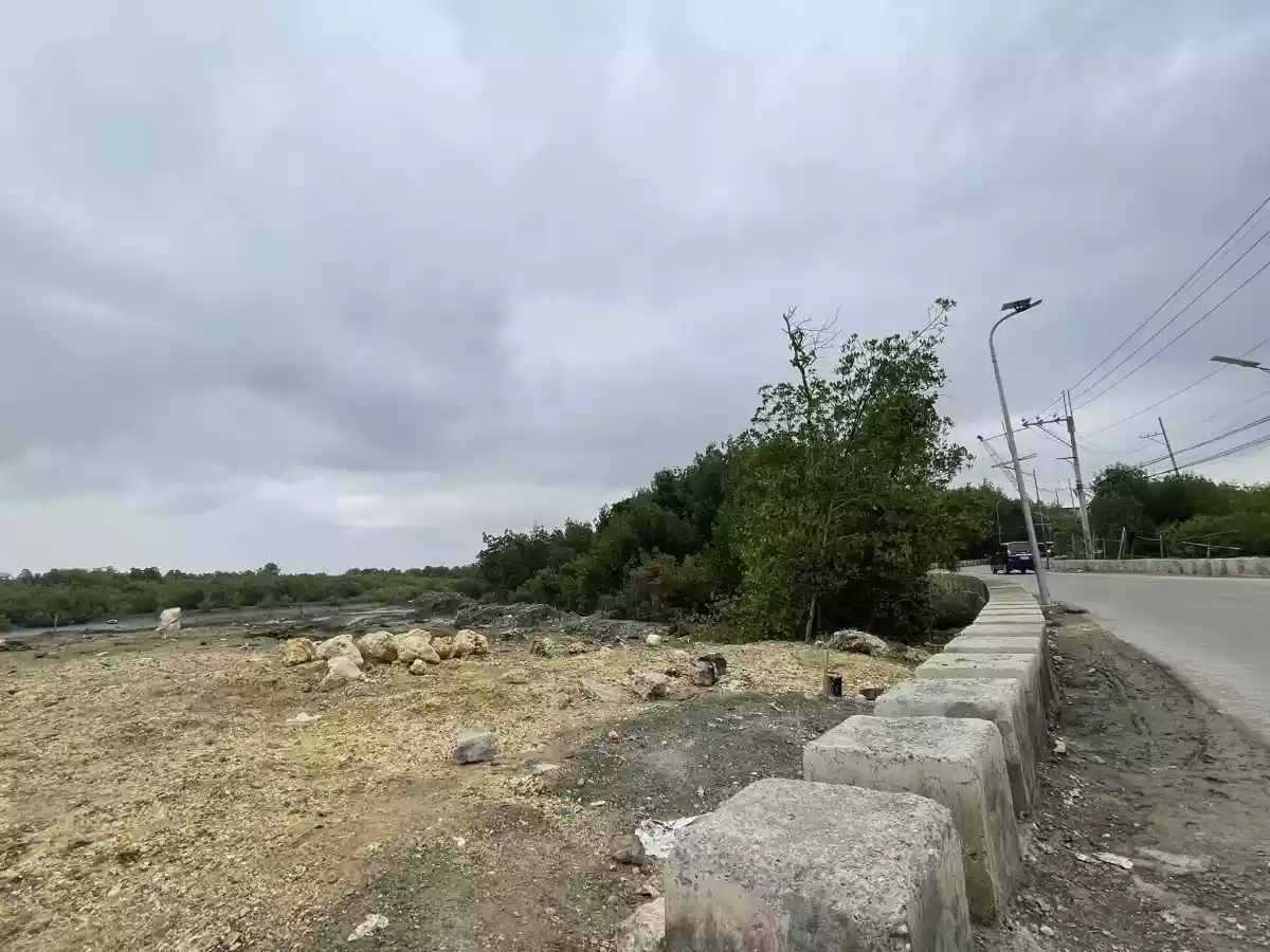 Lot only for sale — Industrial Lot in Consolacion, Cebu, Philippines — Photo 5