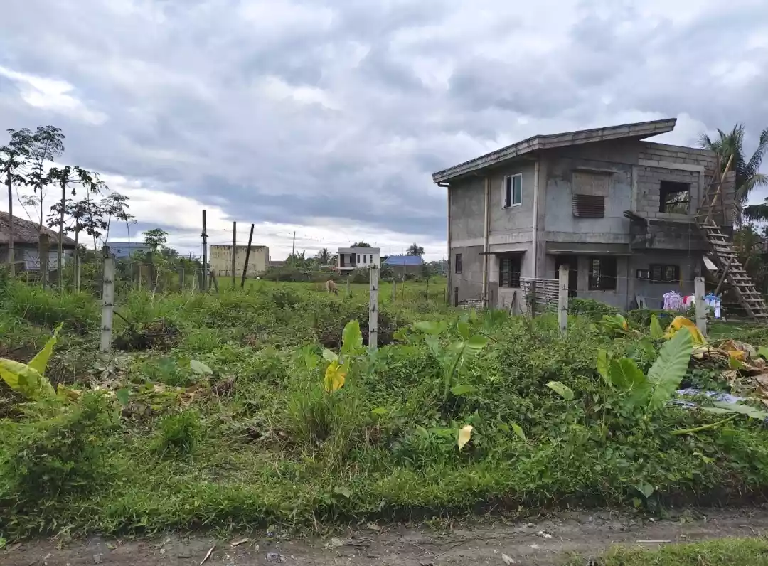 Residential Lot in Modern Village — Residential Lot in San Jose, Pili, Camarines Sur — Photo 2