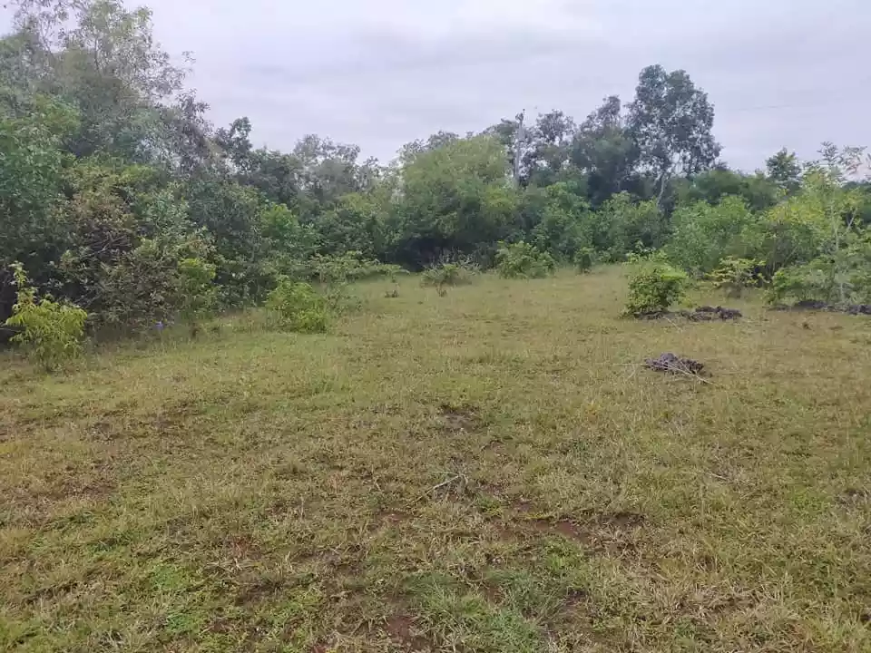 1384sqm clean title lot in Tinago Dauis Panglao Island Bohol 1,500 per sqm 3rd lot - photo 4