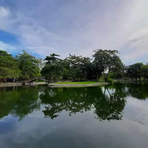 Income Generating Nature's Park in Magay, Compostela — Agricultural Lot in Compostela, Cebu, Philippines — Photo 4