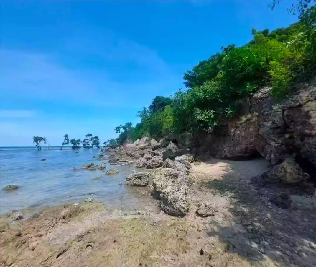 FOR SALE Beach Front Lot Along Brgy. Road and Near Major Establishments — Residential Lot in Dumanjug, Cebu, Philippines — Photo 4
