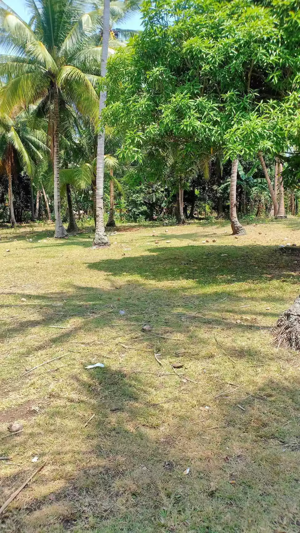 BEACH LOT - photo 4