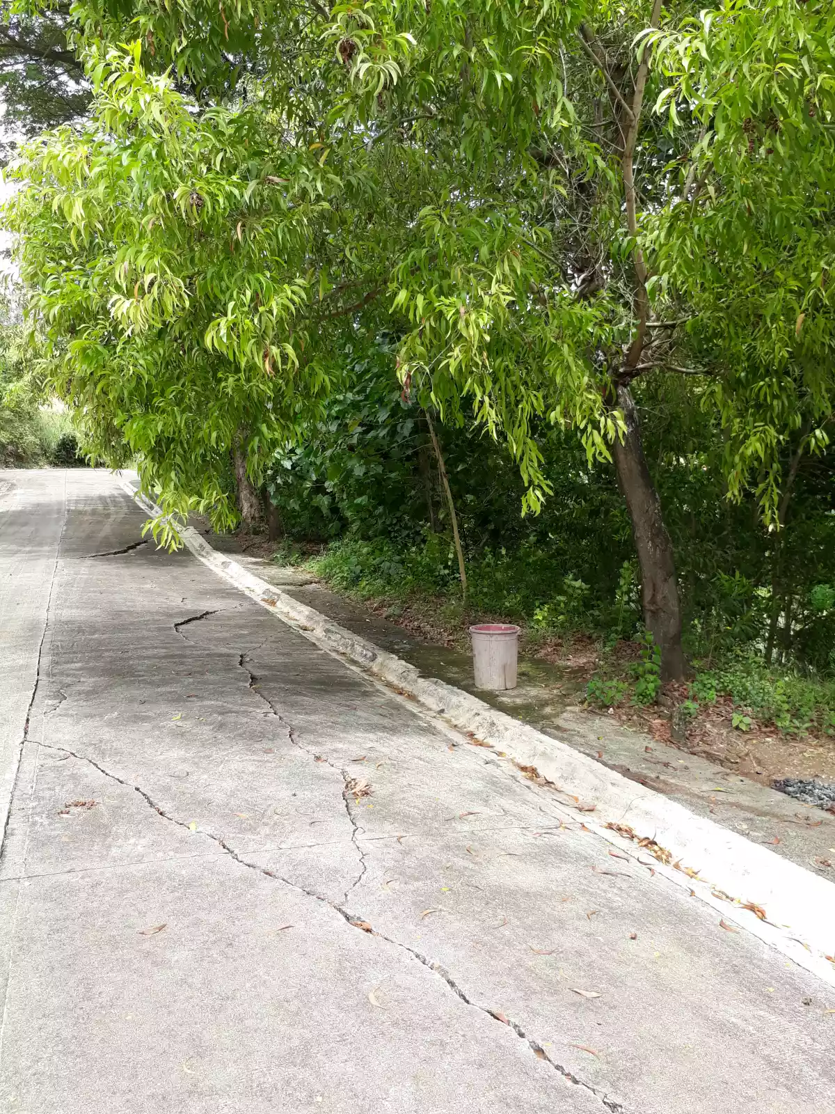 Azienda Milan (Camella Property) - photo 3