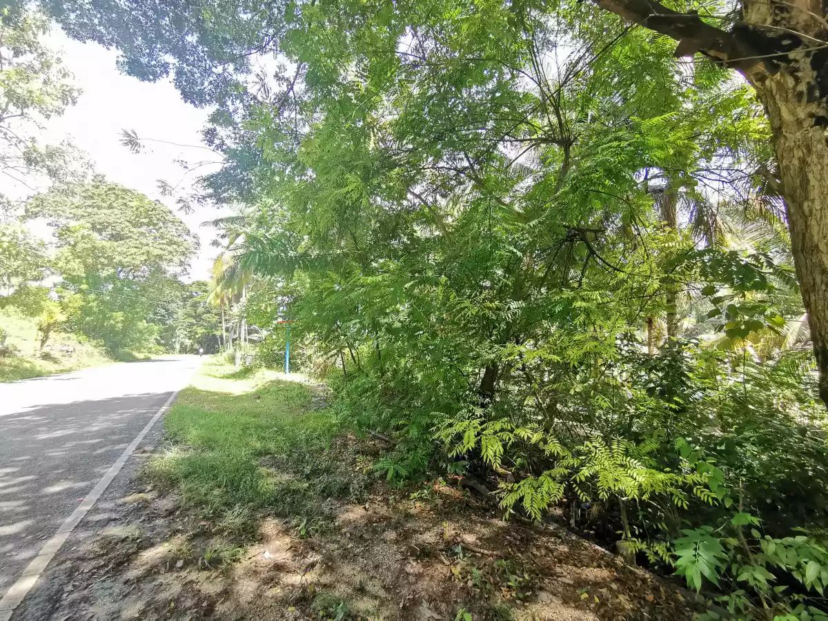Lot for Sale in Argao - photo 6