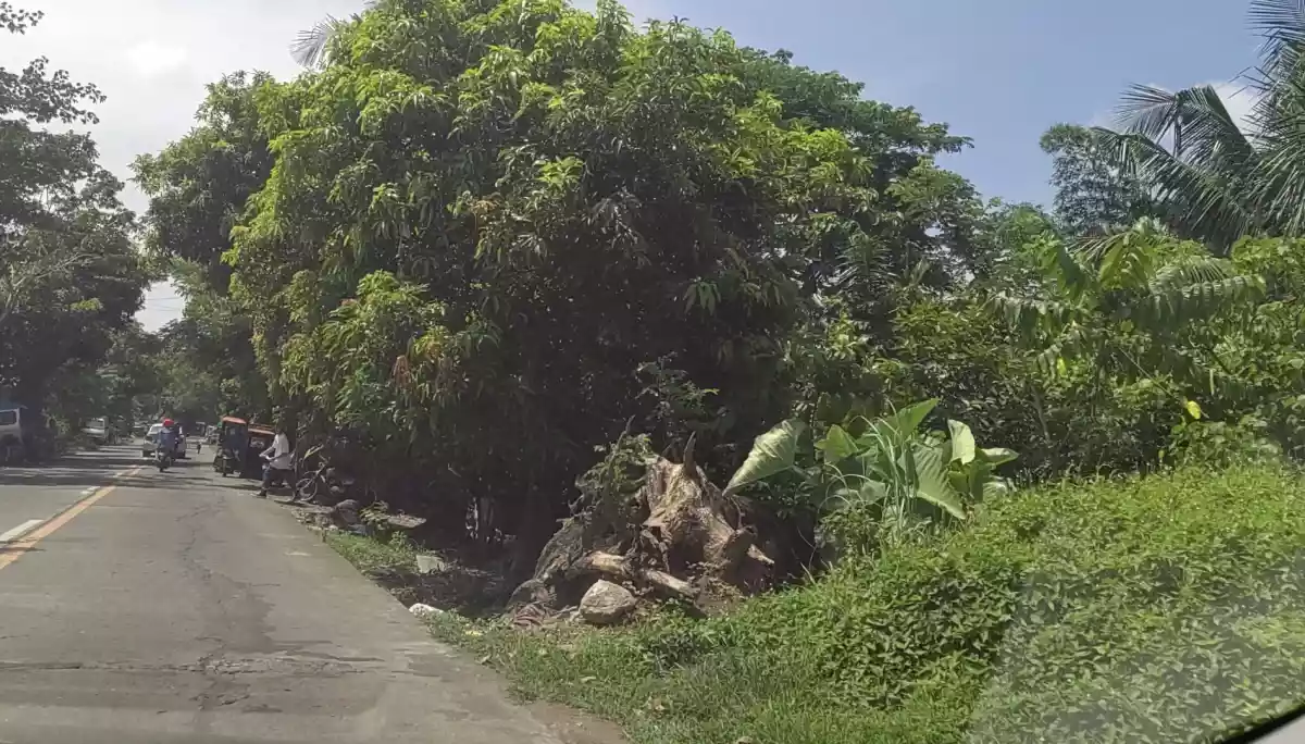 LOT For Sale in Naga City - photo 4