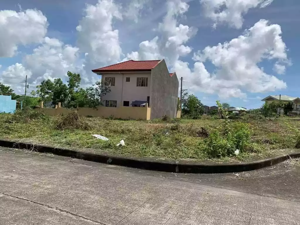 LOT FOR SALE @ EL MONTE VERDE DE CEBU, CONSOLACION