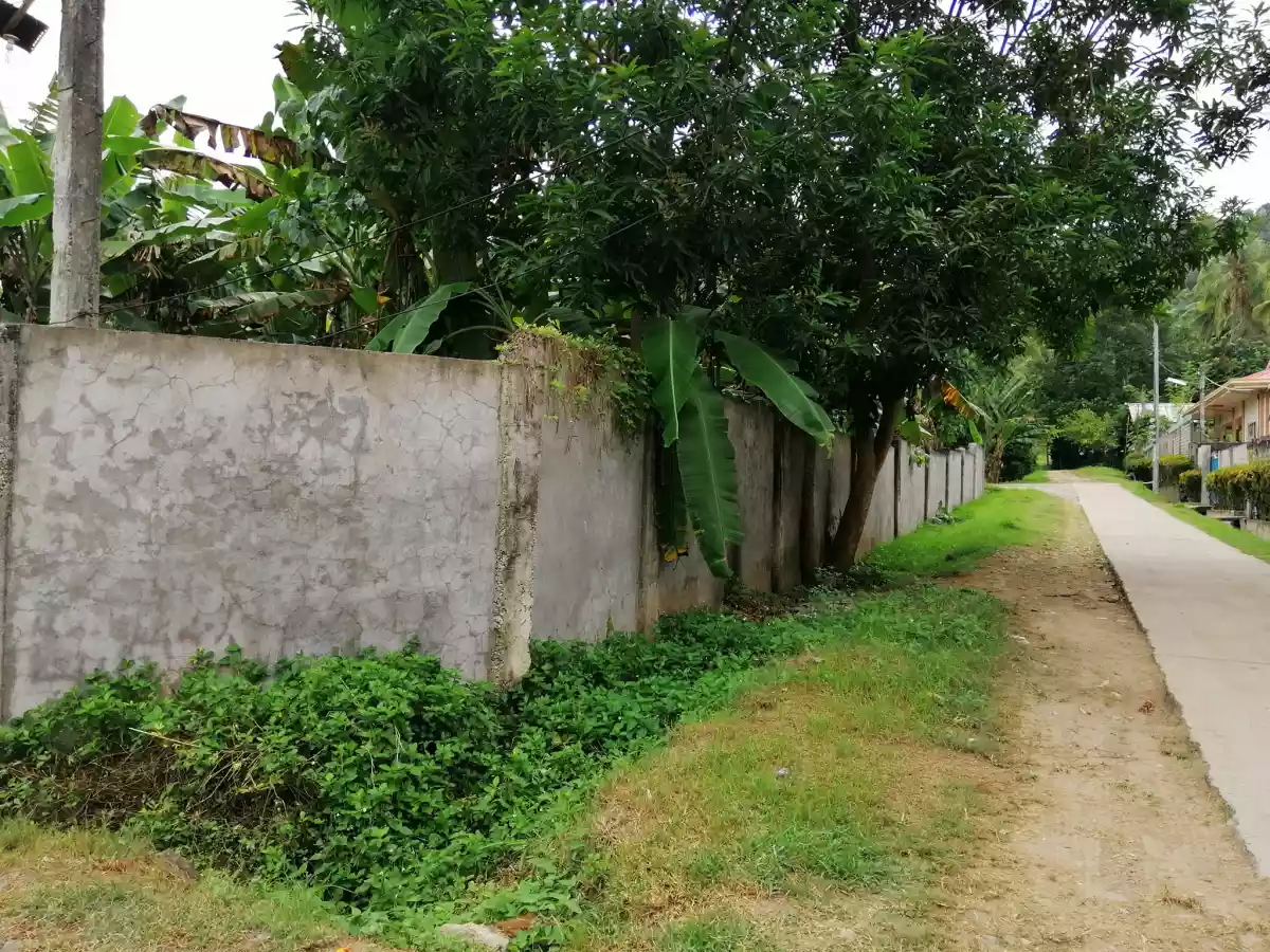 545 sqm Residential Lot for Sale in Tipanoy (repriced) — Residential Lot in Iligan City, Lanao del Norte, 9200 — Photo 2