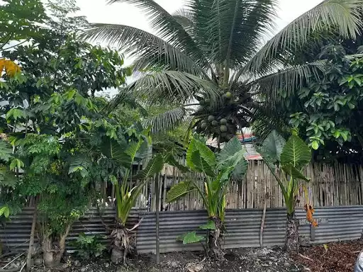 100 Sq.m lot 