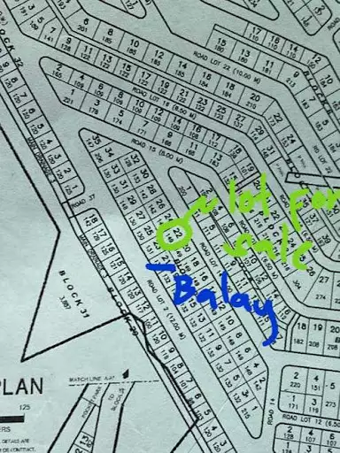 Subdivision Lot in Aspen Heights — Residential Lot in Consolacion, Cebu, Philippines — Photo 4