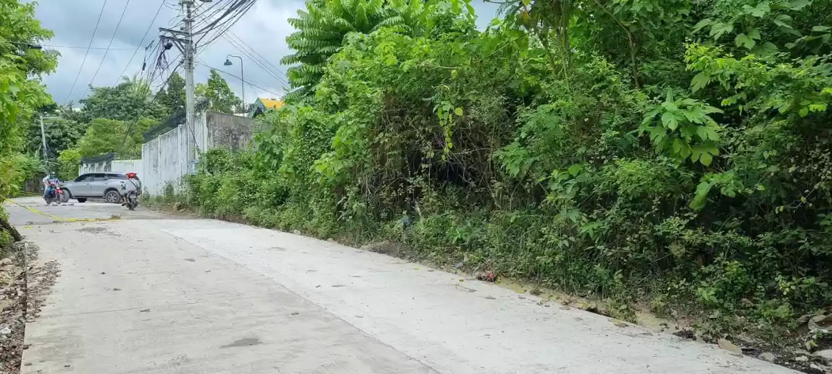 Lot for Sale in Banawa, Cebu City  - photo 6