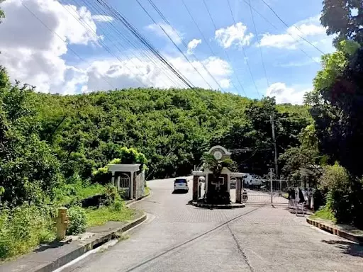 Lot with mountain view in Casili — Residential Lot in Greenville Street, Upper Casili, Consolacion — Photo 3