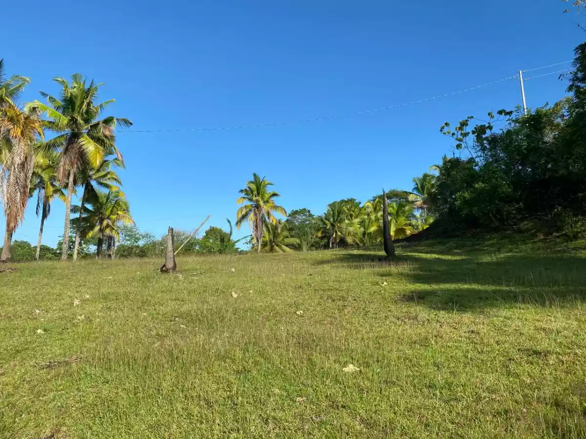 Over Looking LOT FOR SALE along Brgy Road Bayanga, Cagayan de Oro City — Agricultural Lot in Cagayan de Oro, Misamis Oriental, Philippines — Photo 2