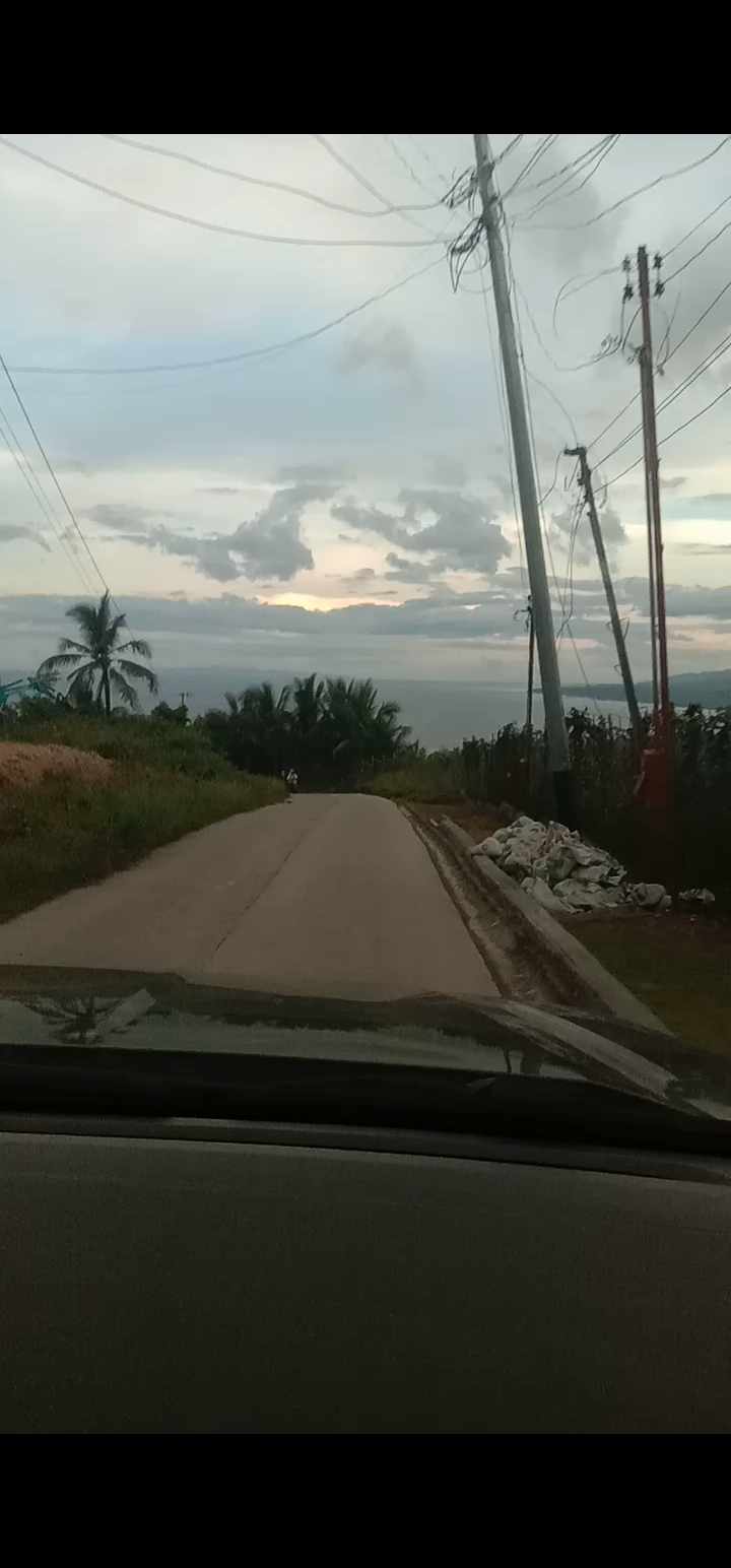 Cambanog Residential Lot — Residential Lot in Cambanog, Sandalo Street, Dalaguete — Photo 3