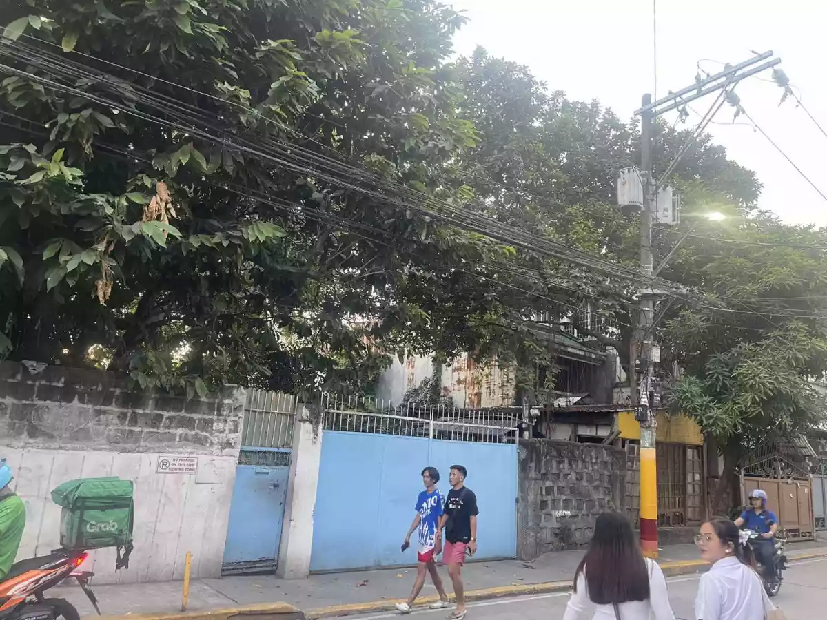G. Del Pilar San Andres Bukid Manila — Residential Lot in San Andres Bukid, Manila, Metro Manila — Photo 7