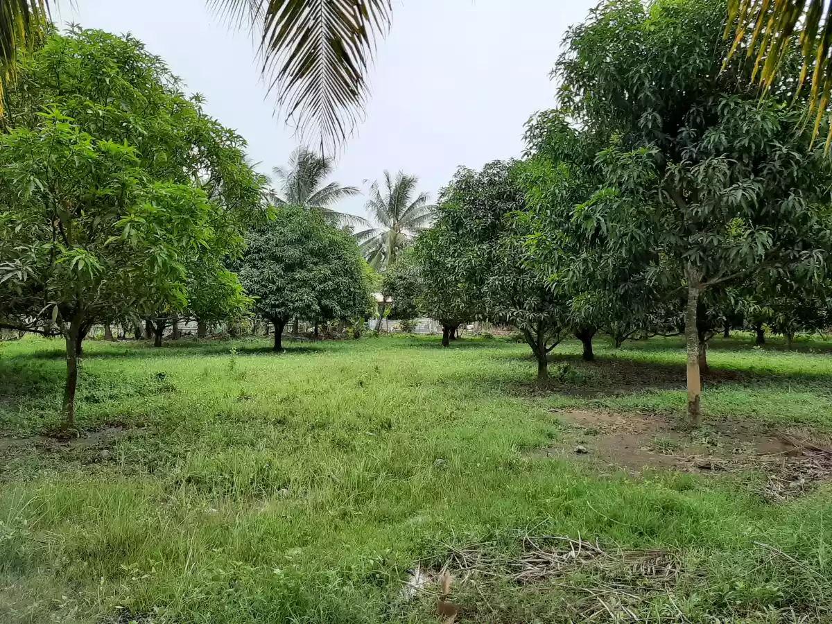 LOT FOR LEASE! - photo 7