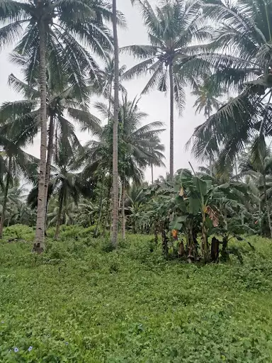 1911 sqm lot for Sale Near UST, Gensan — Residential Lot in General Santos City, South Cotabato, Philippines — Photo 3
