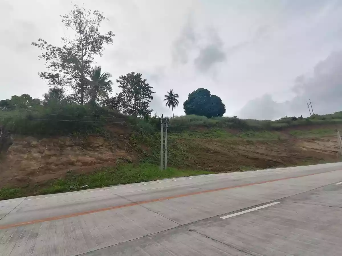 Land for SALE , Nasipit, Agusan Del Norte - photo 2