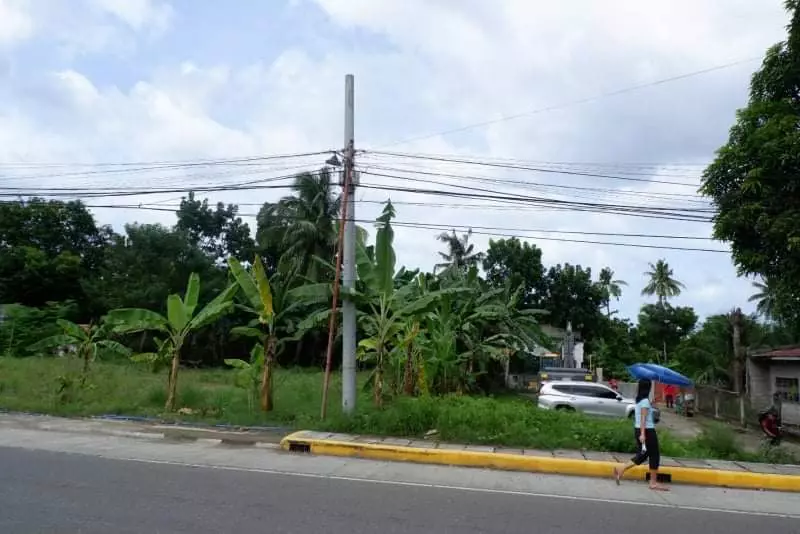 Rush Sale Lot in Arpili Balamban, Cebu. Along National Roadâ€¼ï¸ - photo 7