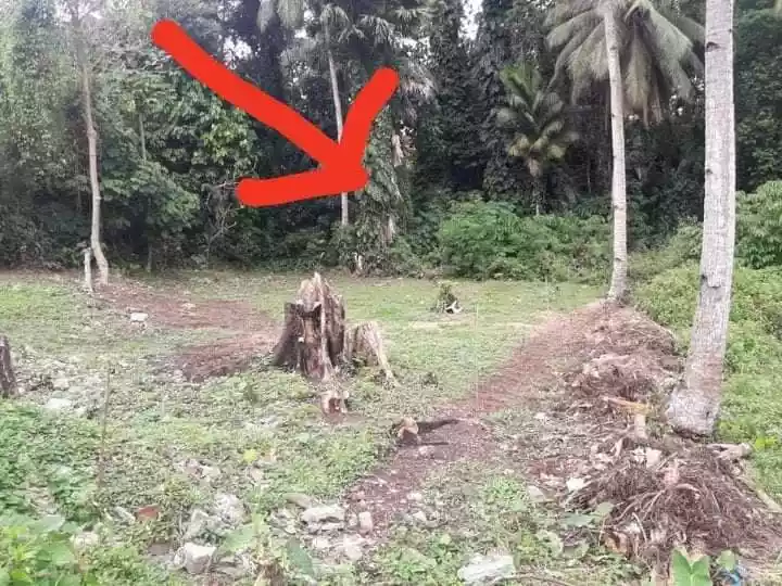 Lot Only Nga Duol DownTown Shrine HIlls  - photo 2