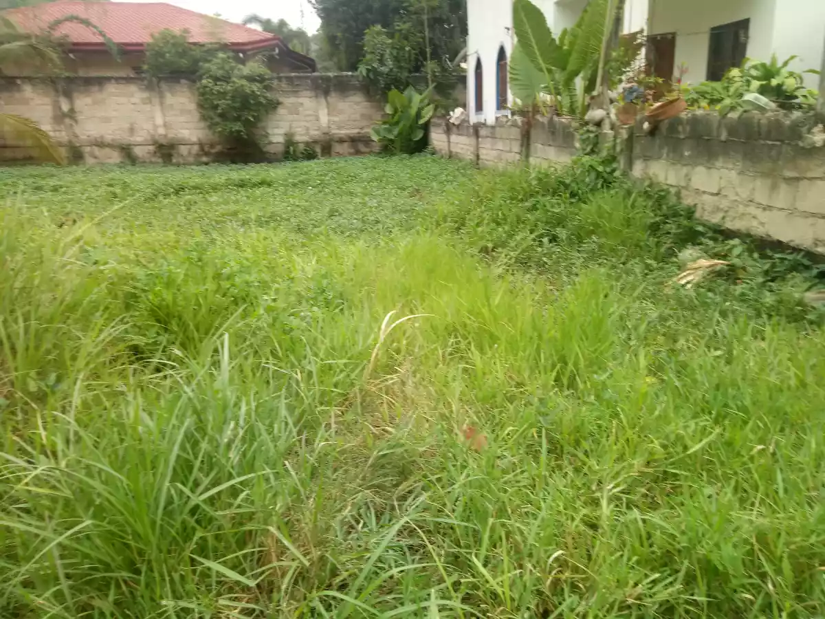 Lot for Sale in Talamban - photo 5