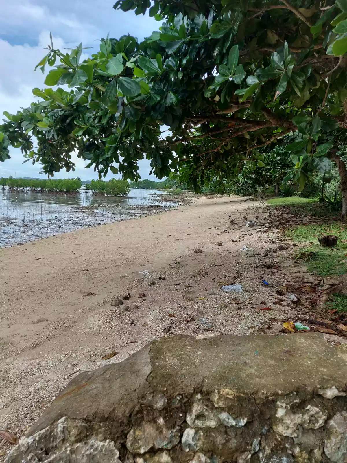 Beach House For Sale in San Remegio, Cebu - photo 3
