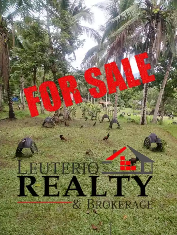 20,000 SQ.M. (Agricultural/Residential/Industrial) LOT — Agricultural Lot in Camarines Sur, Philippines — Photo 7