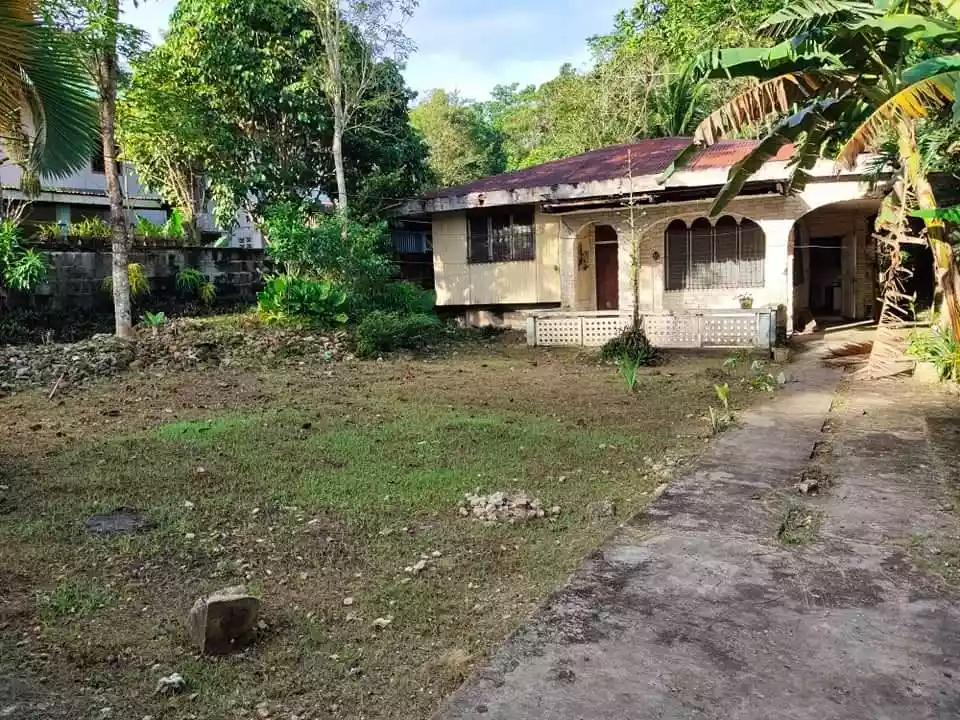 HOUSE & LOT - photo 7
