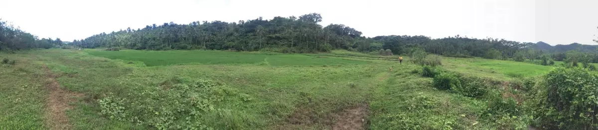 20 Hectares Lot FOR SALE - photo 2