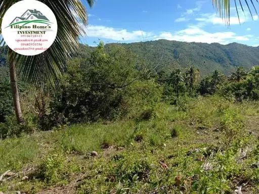 Very rush agri lot — Agricultural Lot in Cebu, Philippines — Photo 3
