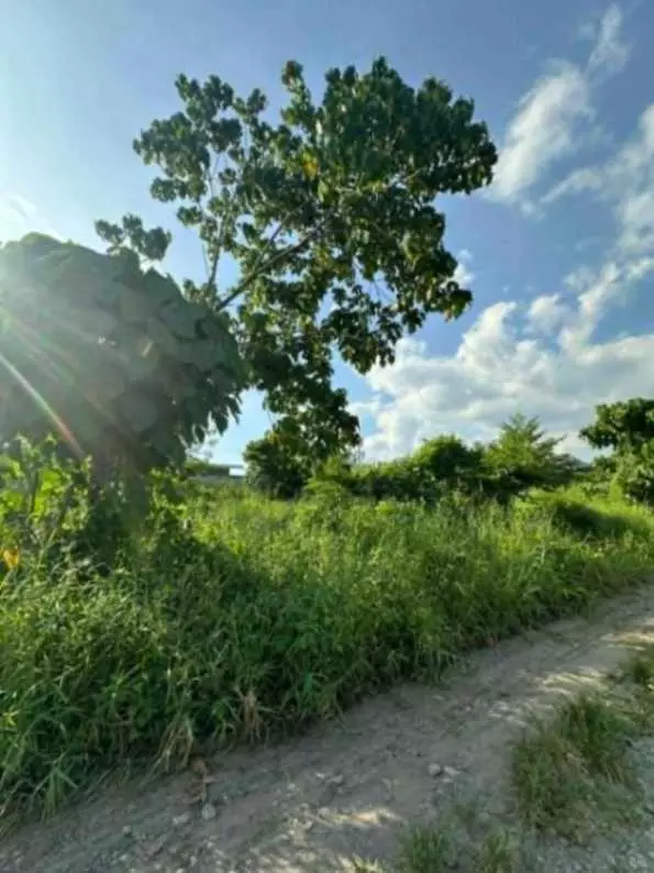 AFFORDABLE LOT FOR SALE — Agricultural Lot in Gen. Santos City, South Cotabato, 9500 — Photo 5