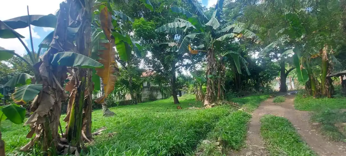 Lot for Sale