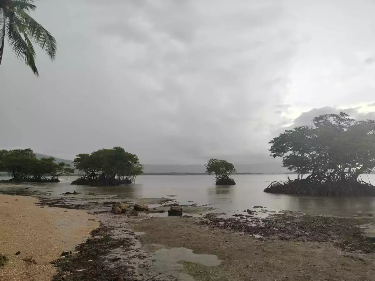 Beach Front Property for Sale (Sipalay) — Beach Lot in Sipalay City, Negros Occidental, Philippines — Photo 3
