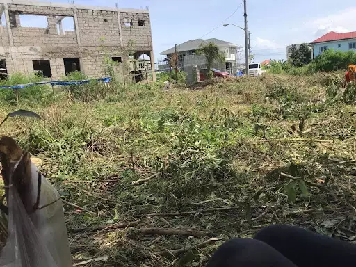 517sqm lot for sale in Corona Delmar Talisay