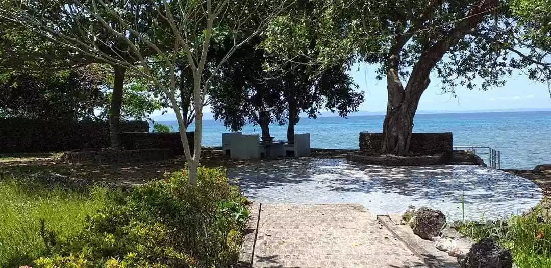 CAMOTES ISLAND BEACH LOT - photo 5