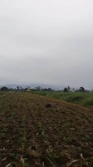 For sale Titled lot in Bukidnon — Agricultural Lot in Manolo Fortich, Bukidnon, Philippines — Photo 3