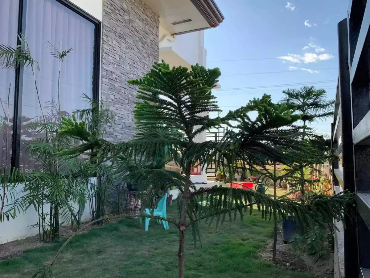 Open photo 24 of 24 — FULLY FURNISHED HOUSE AND LOT FOR SALE