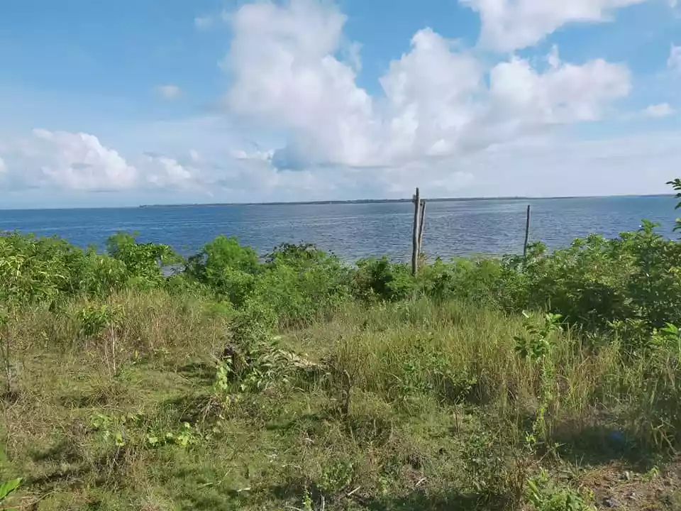 Beachfront 1,223sqm title lot for sale in Sandingan Island Loon Bohol 3k per sqm - photo 5