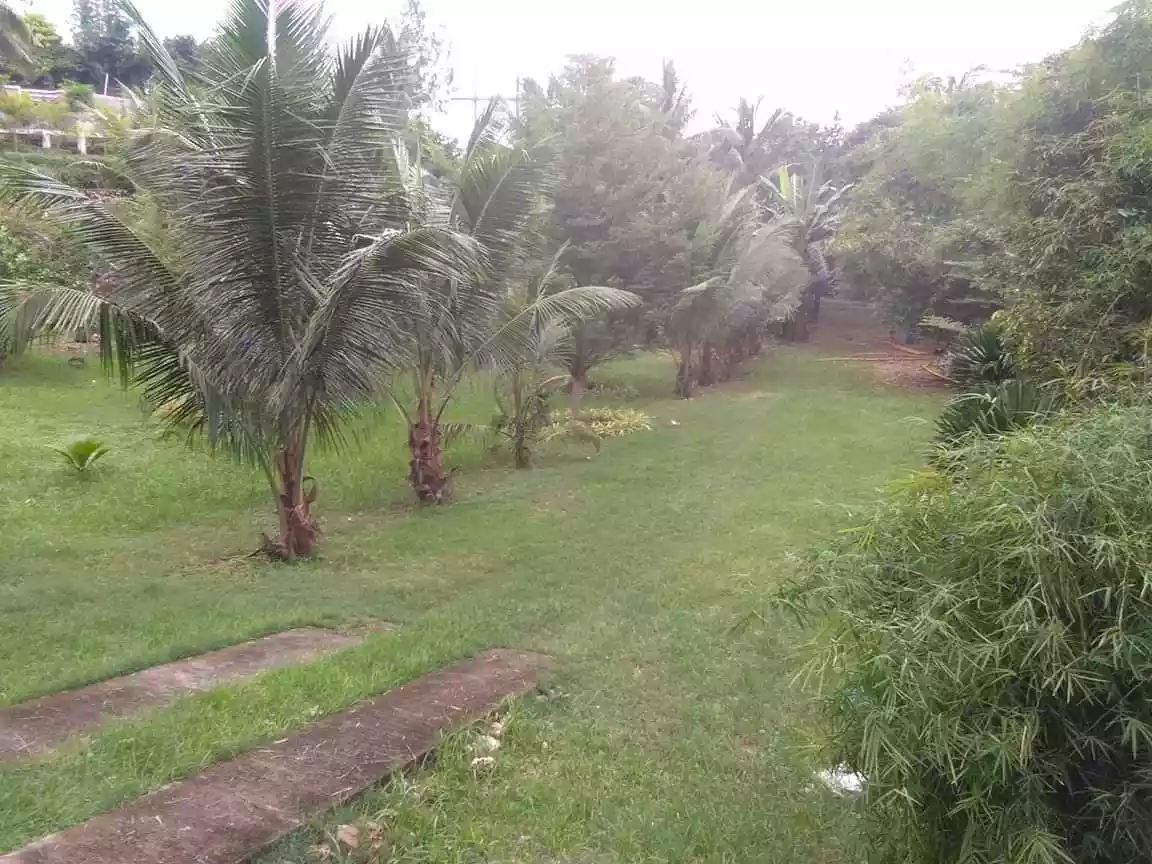 Commercial Lot for Sale with Conference/Function Hall — Commercial Lot in Carcar City, Cebu, Philippines — Photo 2