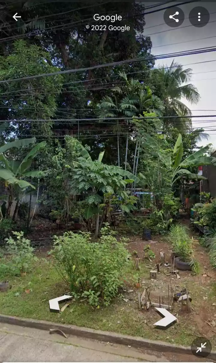 Residential Lot for Sale in Clapperail St., Bellisario Heights, Davao City