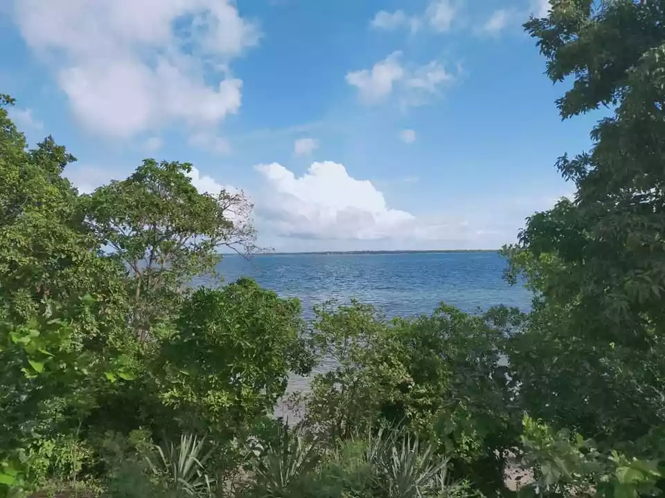 Beachfront 1,223sqm title lot for sale in Sandingan Island Loon Bohol 3k per sqm - photo 4