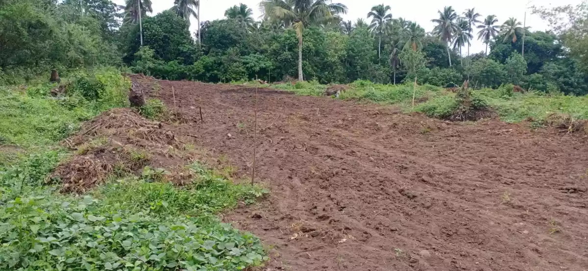 4 Hectares Lot for Sale Tacunan Tugbok Davao City — Residential Lot in Tugbok, Davao City, Davao del Sur — Photo 4