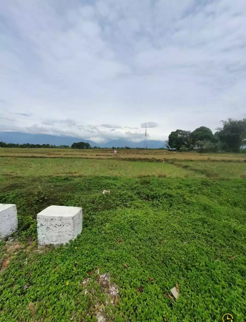 AGRI LOT , NARRA PALAWAN - photo 2